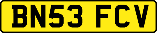 BN53FCV