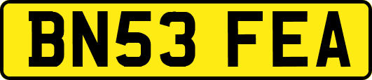 BN53FEA