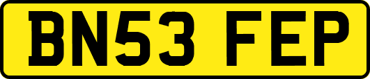 BN53FEP