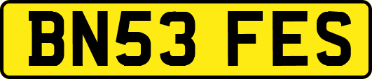 BN53FES