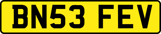 BN53FEV