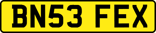 BN53FEX