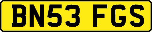 BN53FGS