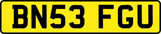 BN53FGU