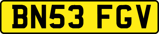 BN53FGV