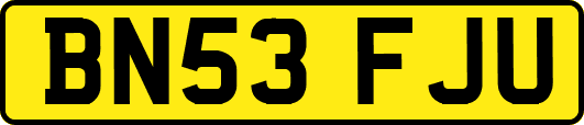 BN53FJU