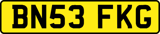 BN53FKG