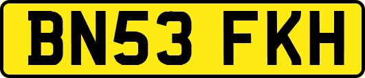 BN53FKH