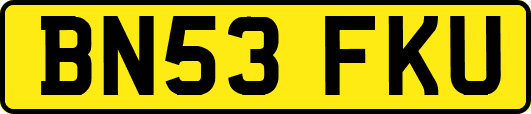 BN53FKU