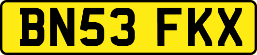 BN53FKX