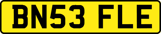 BN53FLE