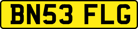 BN53FLG