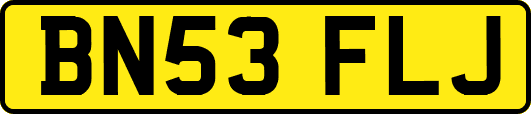 BN53FLJ
