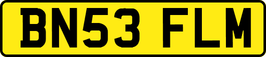 BN53FLM