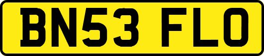 BN53FLO