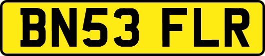 BN53FLR