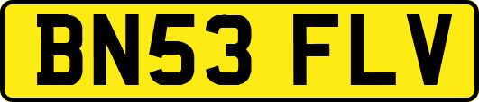 BN53FLV