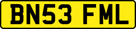 BN53FML