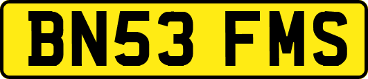 BN53FMS