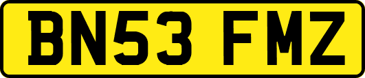 BN53FMZ