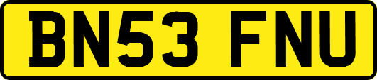 BN53FNU