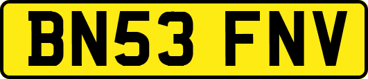 BN53FNV