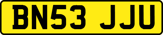 BN53JJU