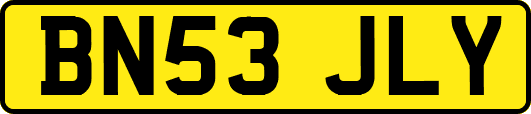 BN53JLY
