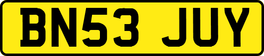 BN53JUY