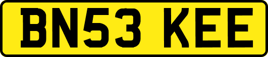 BN53KEE