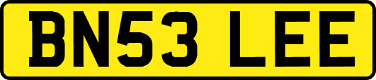 BN53LEE