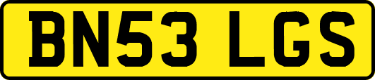BN53LGS