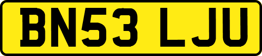 BN53LJU