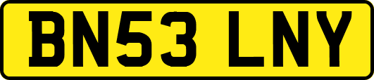 BN53LNY