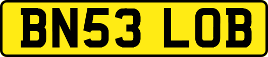 BN53LOB