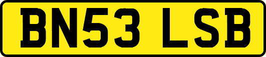 BN53LSB