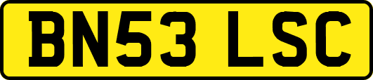 BN53LSC