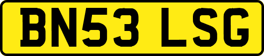 BN53LSG
