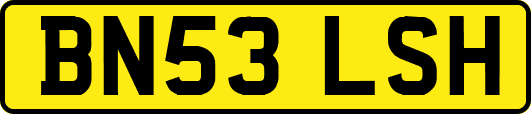 BN53LSH
