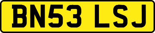 BN53LSJ