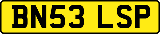 BN53LSP