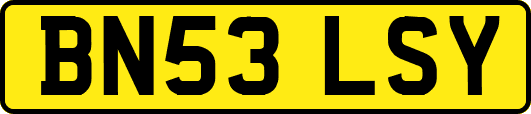 BN53LSY