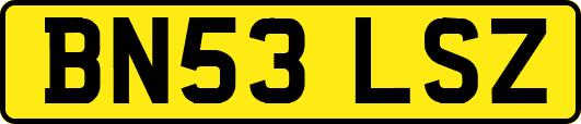 BN53LSZ