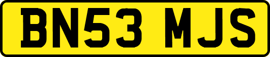 BN53MJS