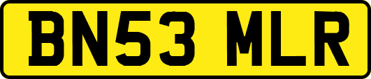BN53MLR