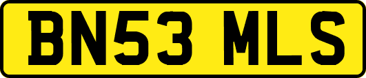 BN53MLS