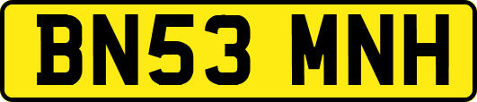 BN53MNH