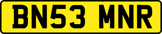 BN53MNR