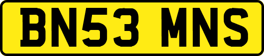 BN53MNS