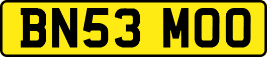 BN53MOO
